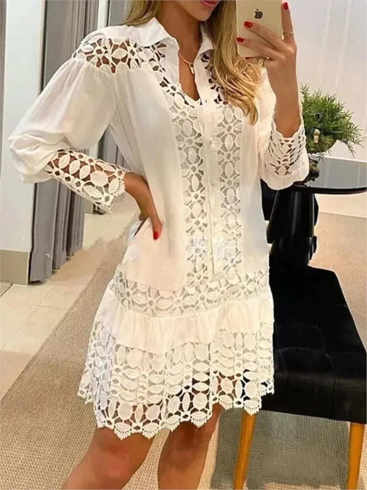 Chic Long Sleeve Lace Dress for Women